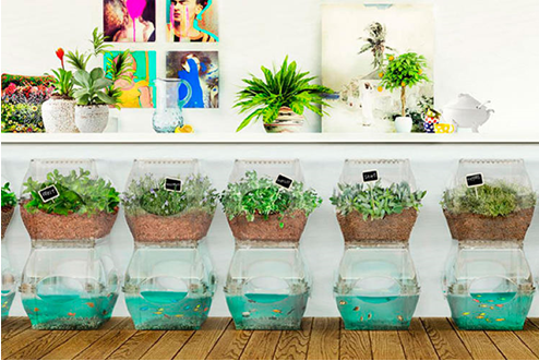 Модули для выращивания еды.