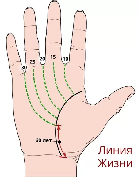 фото из открытого источника в интернете