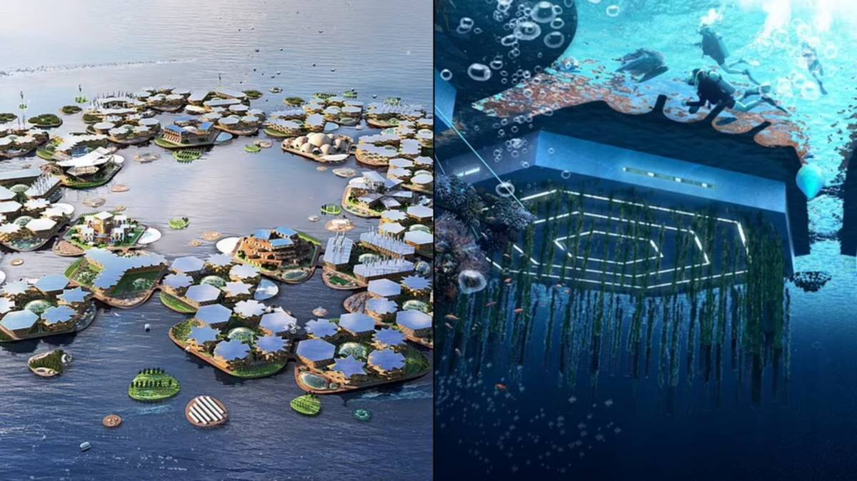 Р‘Р»СЋРґРѕ Floating Island