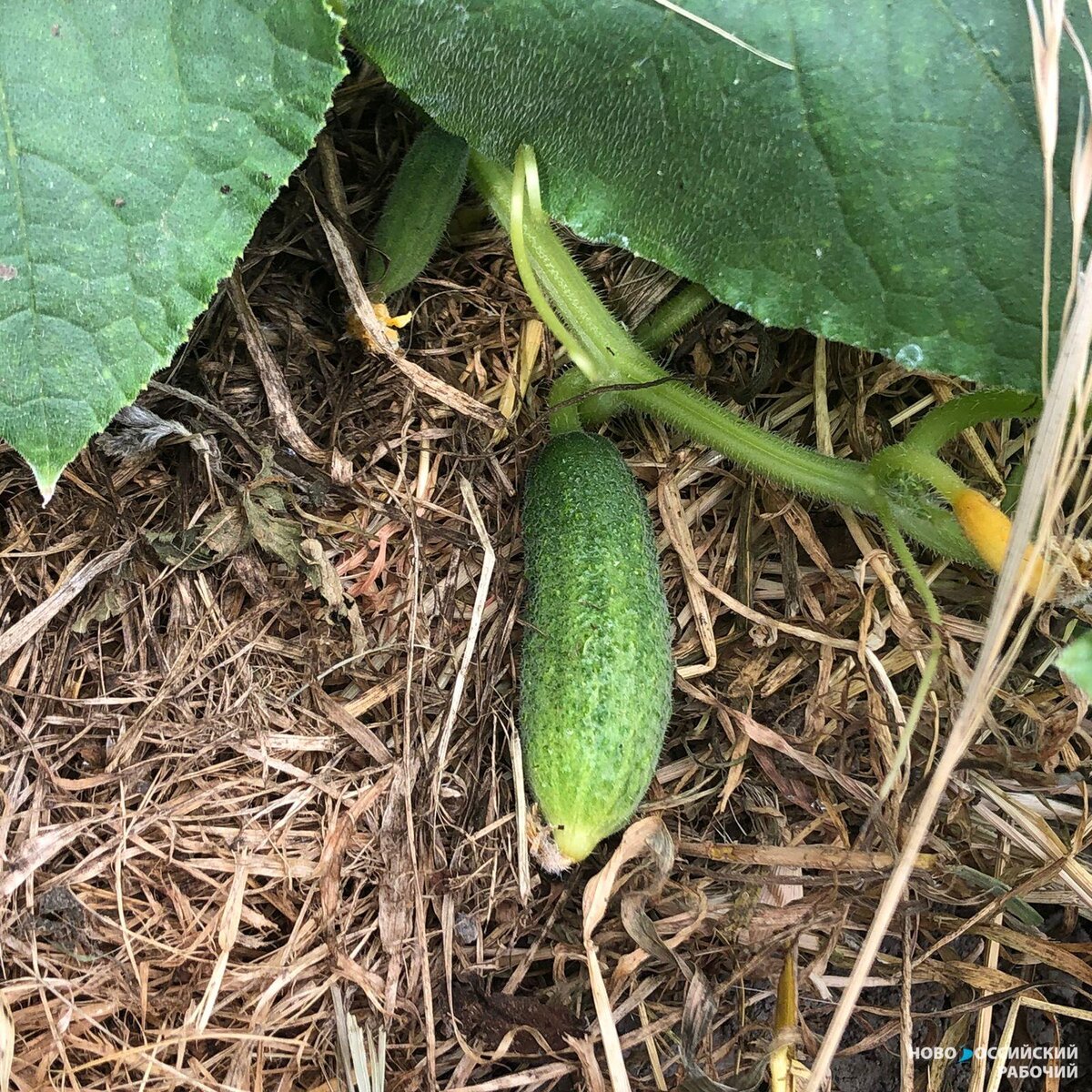 Фото Елены Калашниковой