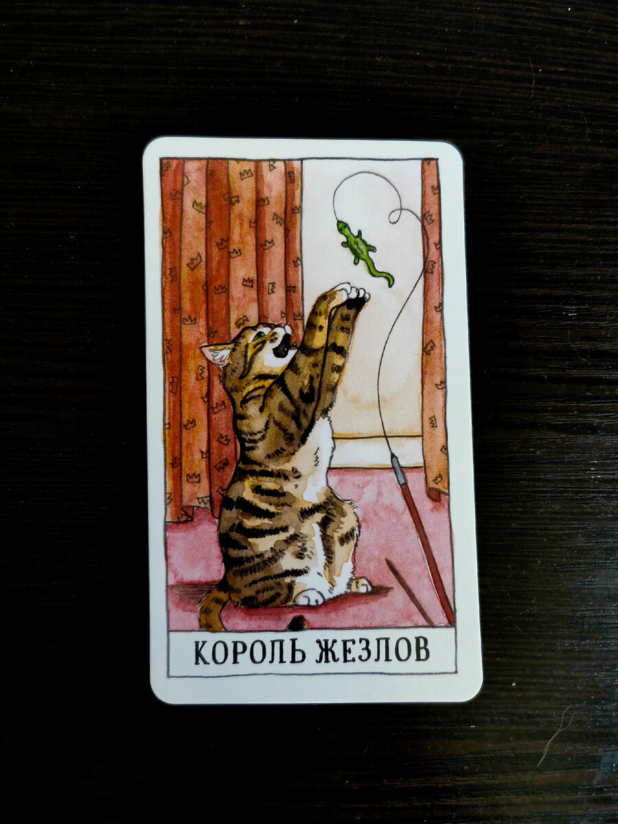 #таро #картадня #гадание #картытаро #прогнознадень 