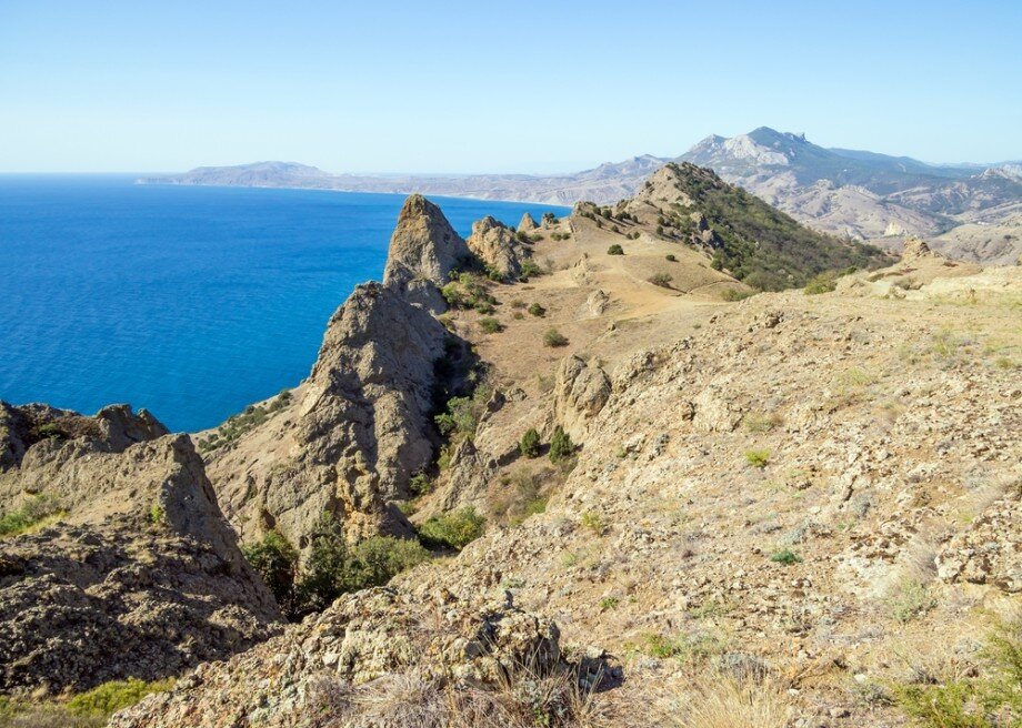 Фото: Shutterstock/FOTODOM