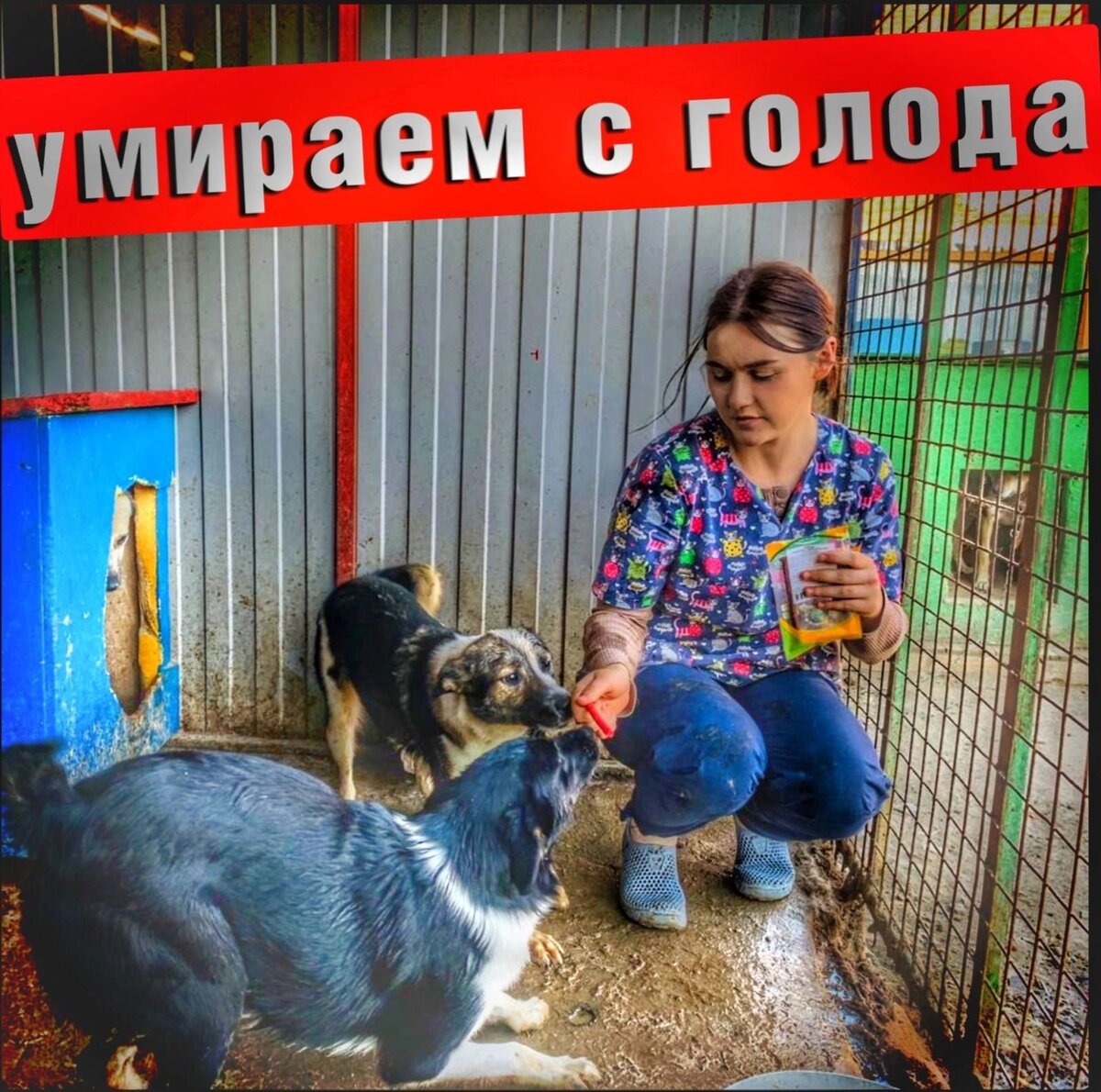 Нм нужна помощь 