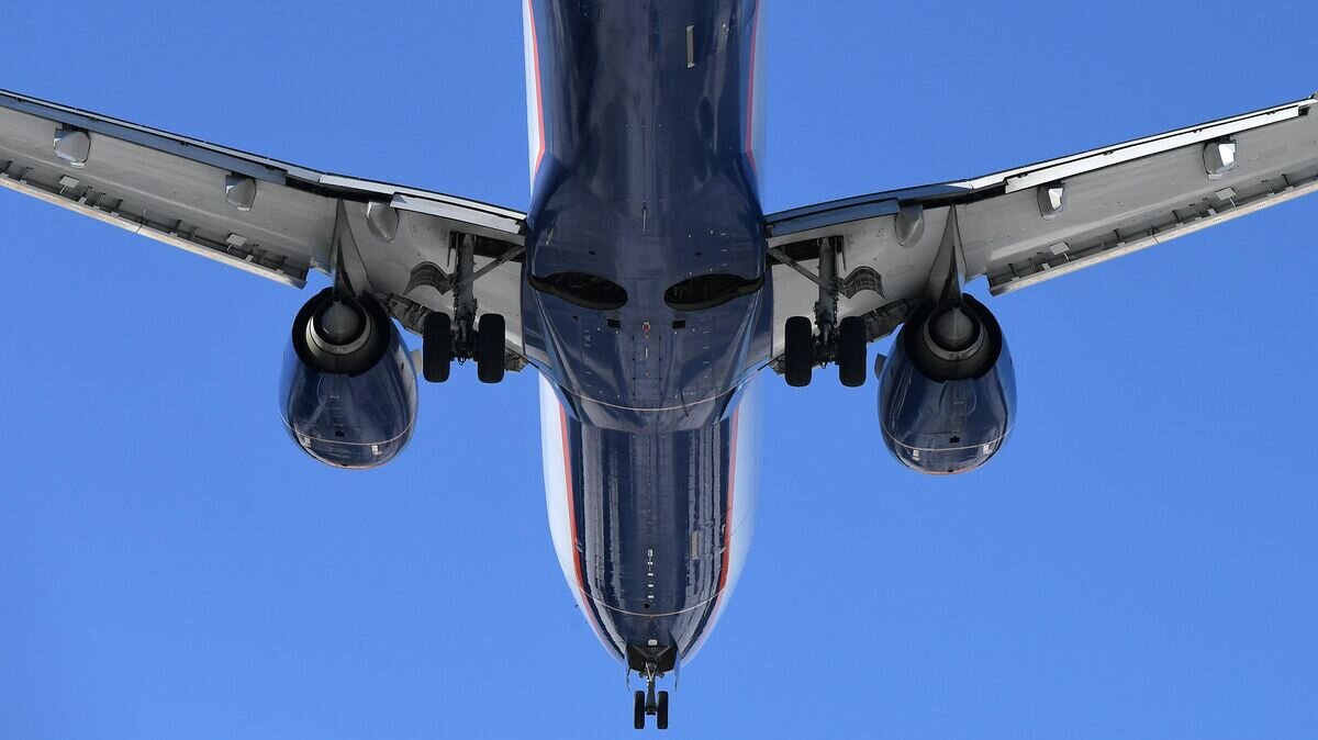    Самолёт Boeing-737-800 авиакомпании "Аэрофлот" © РИА Новости / Илья Наймушин