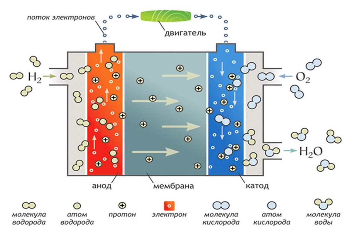 Водородная топливная ячейка