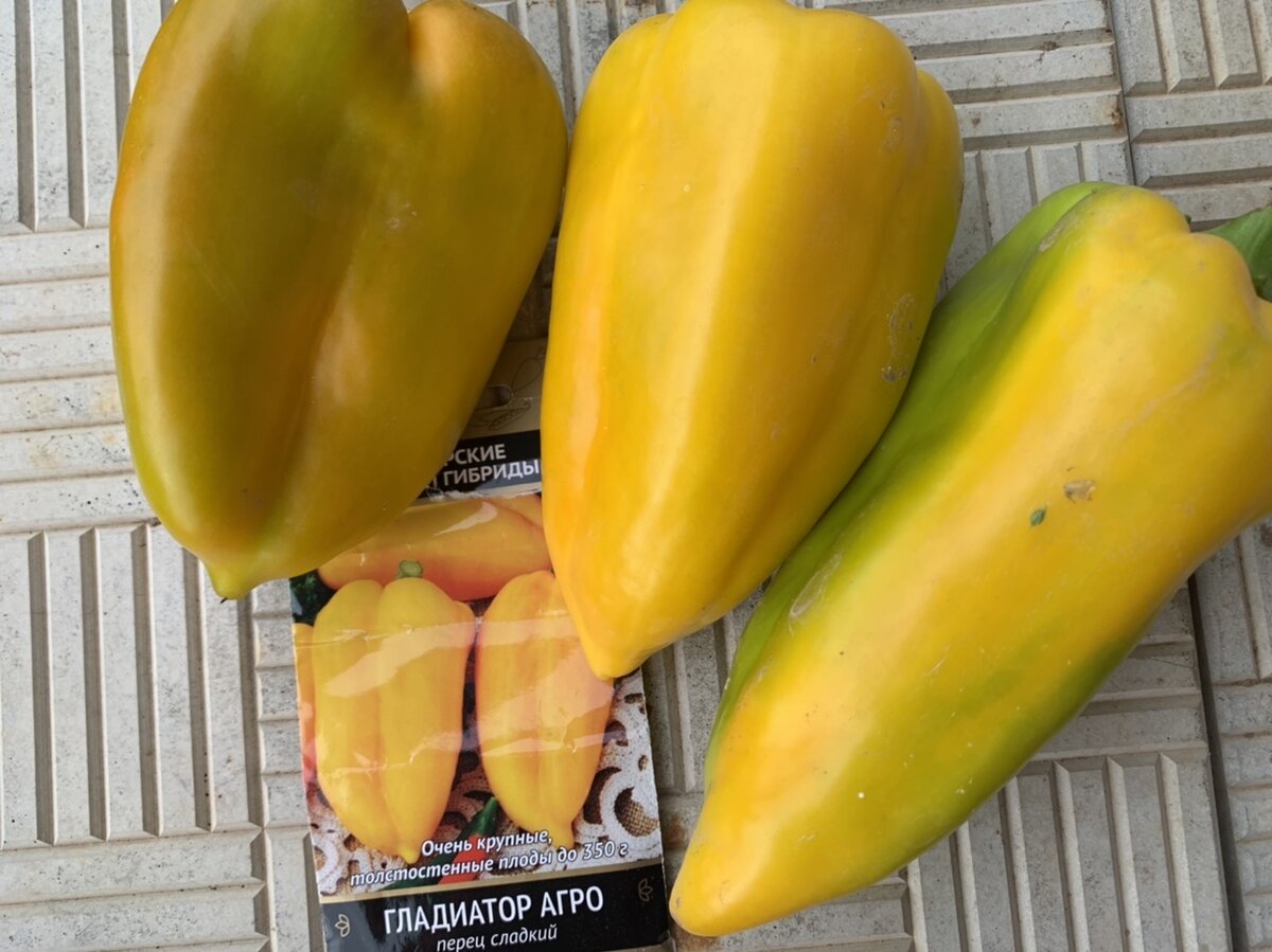 Потом были и побольше экземпляры!