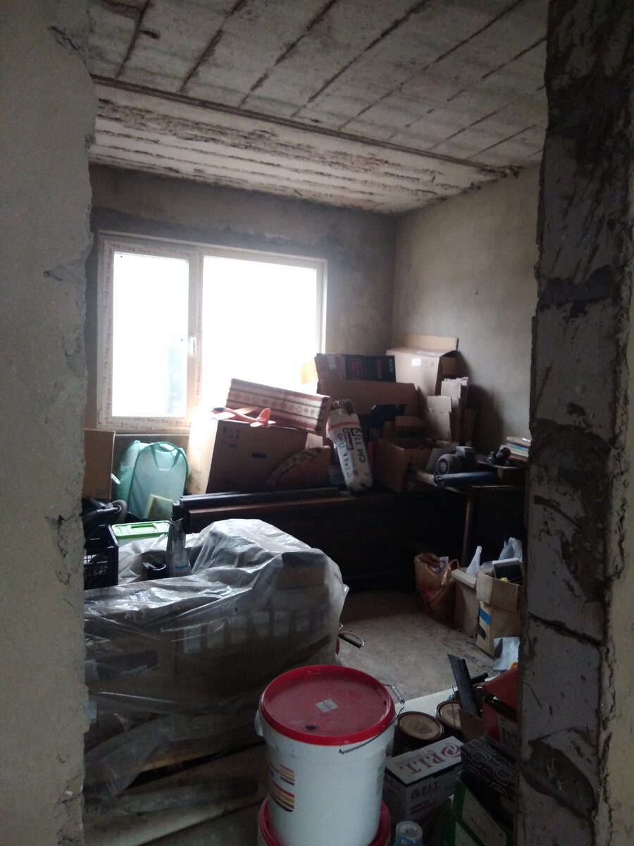 У окна в коробках сидела эта редкая сова.