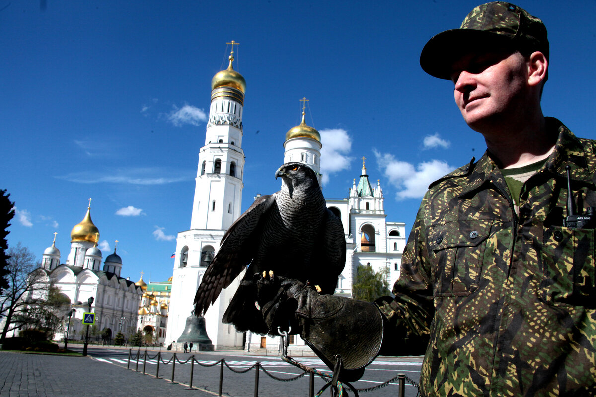 Кирилл Воронин.