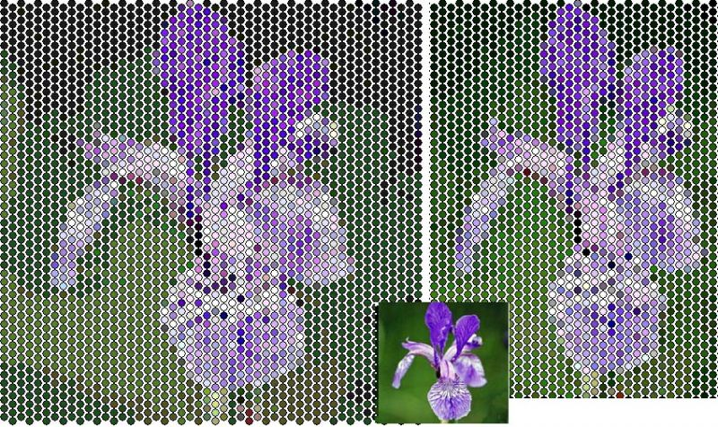 Ирис алиса. Плетение из ириса квадратом. Схемы для термомозаики легкие. Схема для матричной мозаики. Бабочки Мозаичное плетение схемы шаблоны.