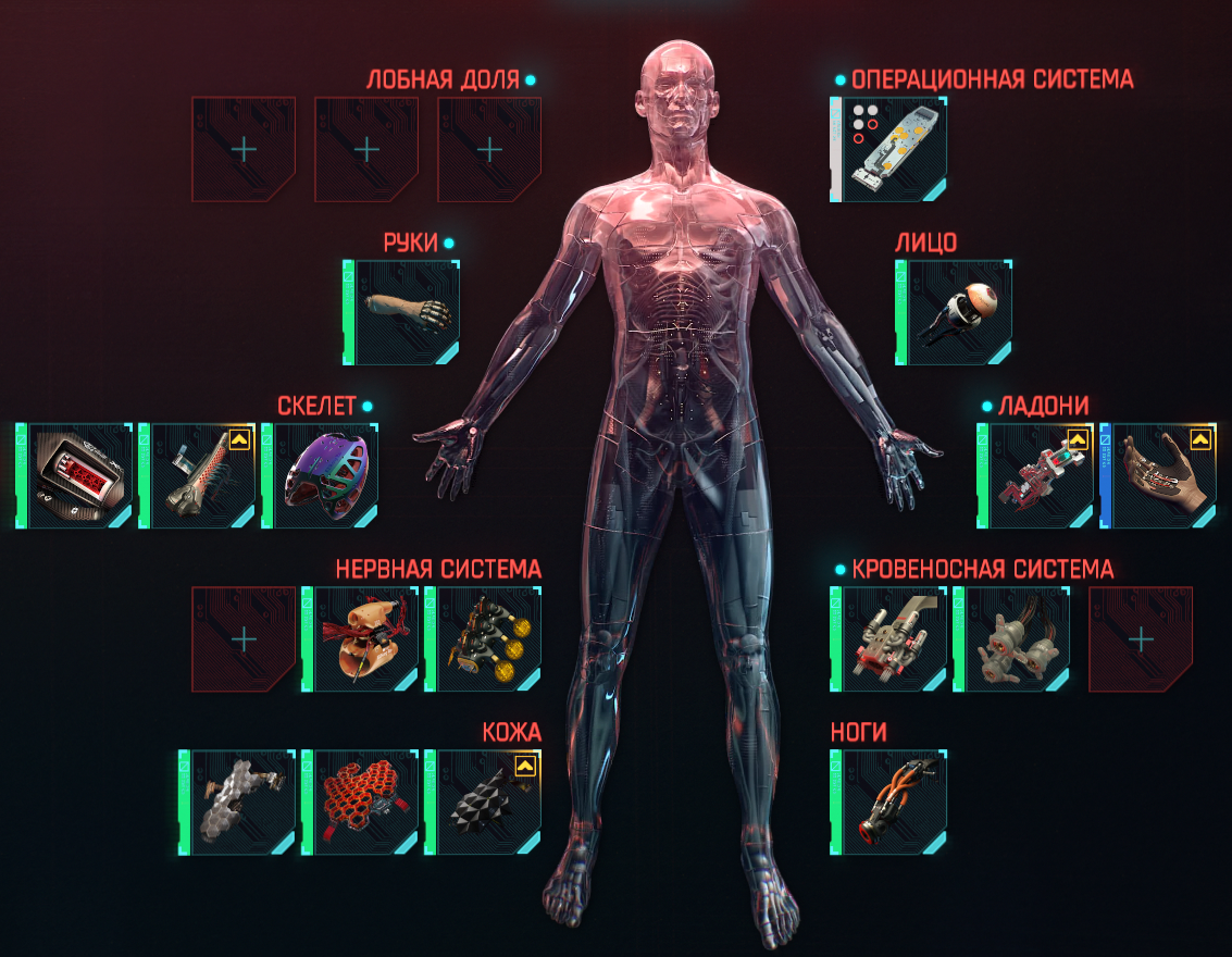 Лишь малая часть взрослых "игрушек".