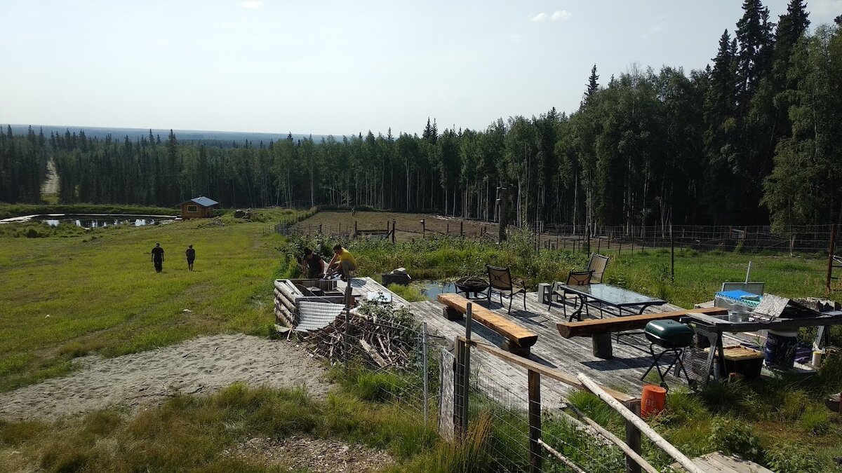 На участке у профессора Университета Аляски, мерзлотоведа Кенджи Йошикавы