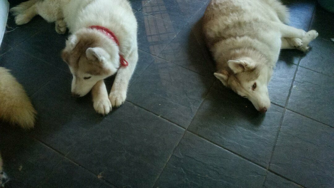 Фото из личного архива автора.