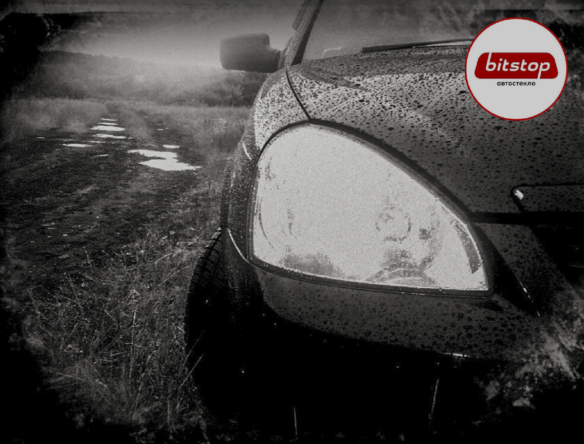 Подписывайтесь на канал! Ставьте отметку «Нравится»