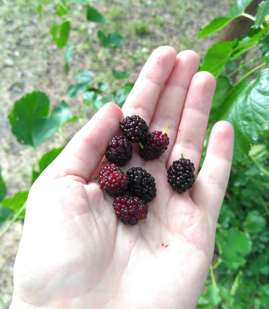 Фото автора статьи, листайте галерею с фото