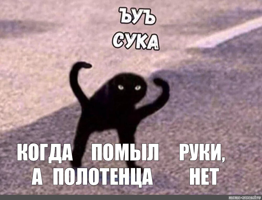Фотография мема кот с черными руками
