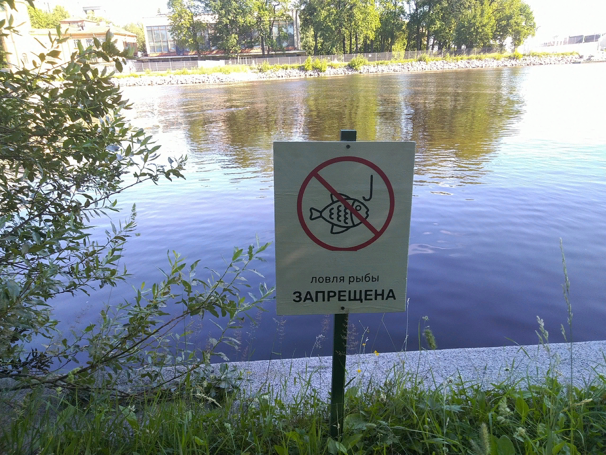Ловля рыбы запрещена. Ловля рыбы запрещена знак. Рыбалка запрещена табличка. Лов рыбы запрещен табличка. Запрет лова рыбы в 2024 году