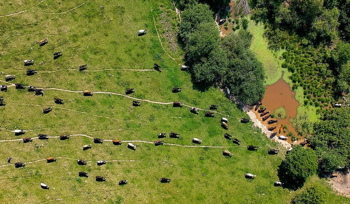 Село Волчья Дубрава с высоты птичьего полета. Деревня вид с дрона. Поле с высоты. Вид с дрона.