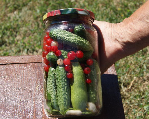 Перед заливкой. Фото мое