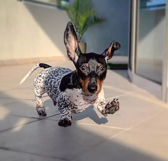 источник: instagramm.com