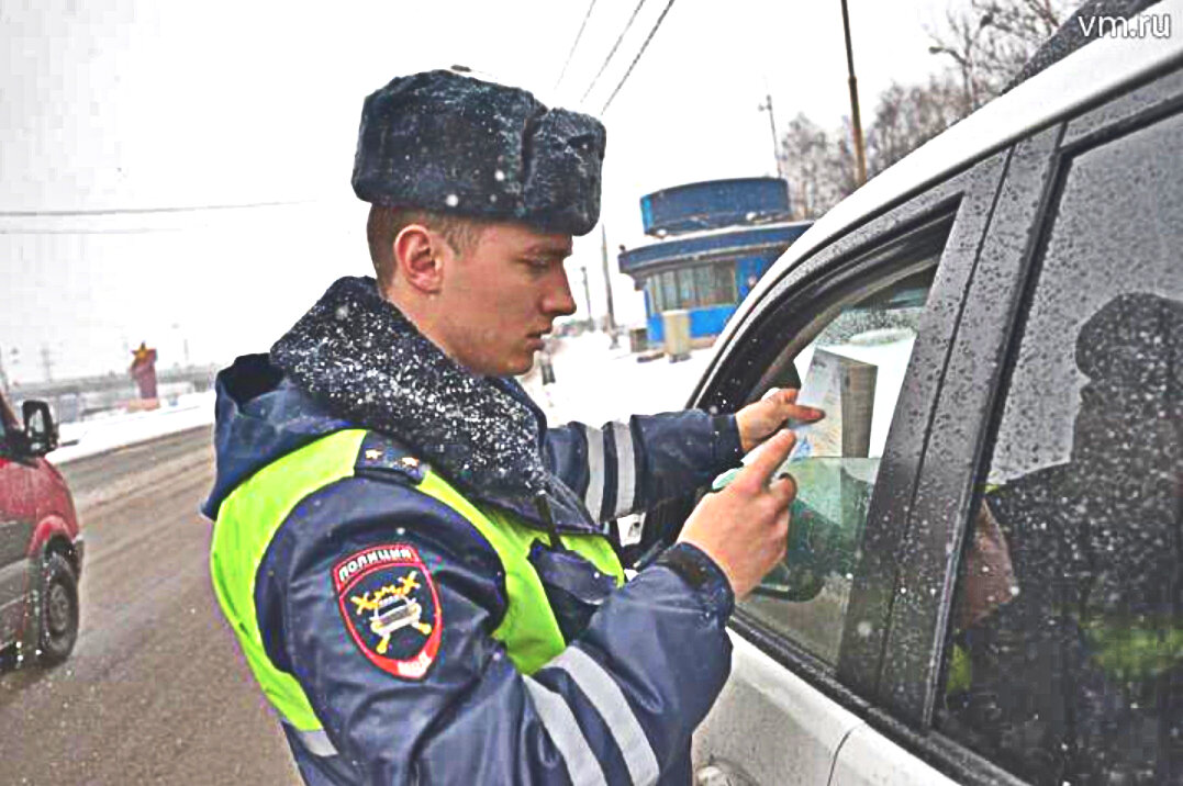 Источник фото: Яндекс картинки 