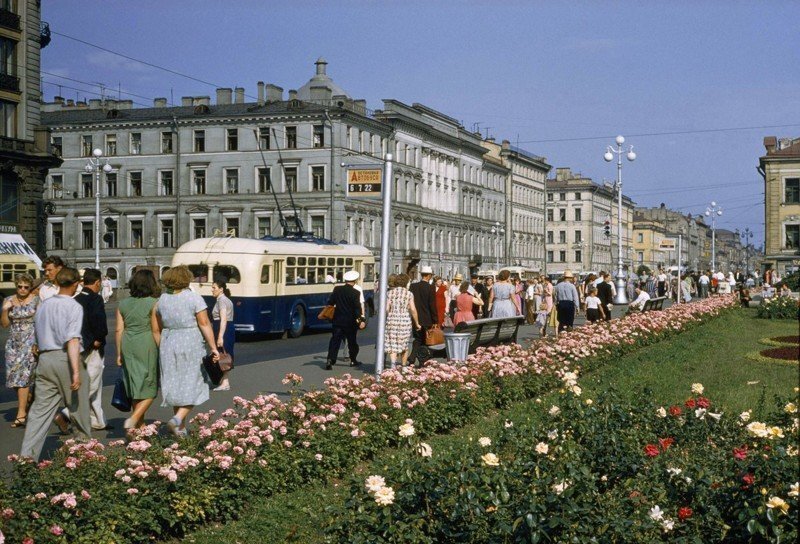 Лето в Ленинграде. 50-е гг