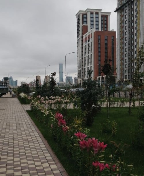 Привычка гулять каждый день