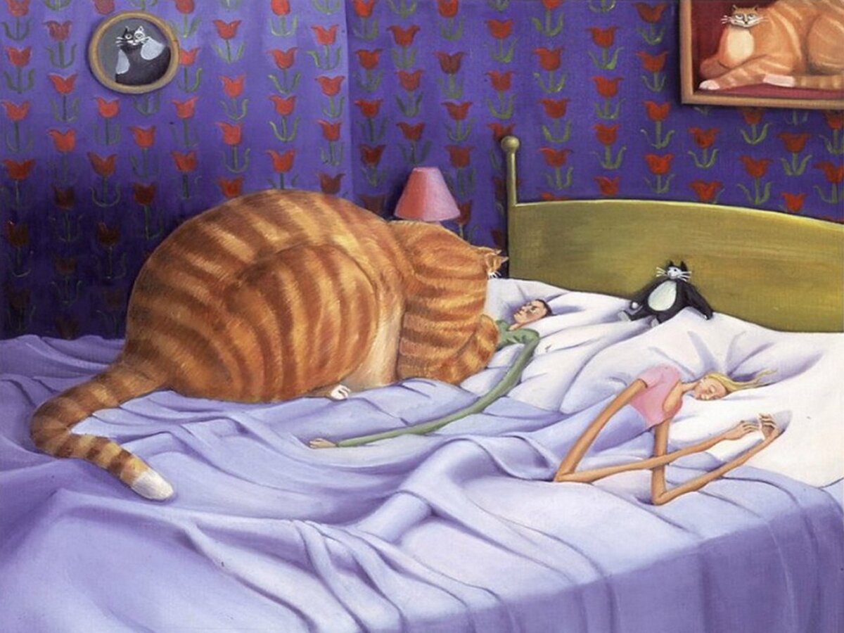 Фото из Яндекс. Картинки