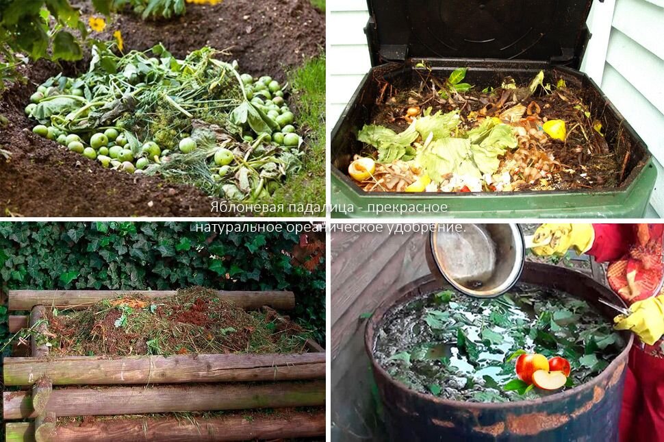 Использовано фото ресурса www.mrdachnik.com