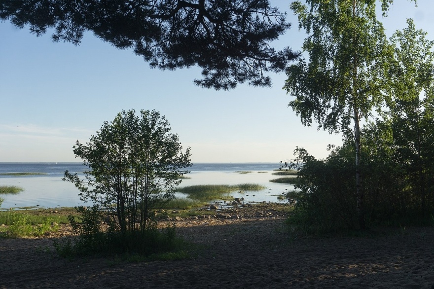 Фото: Alexey Komarov, Wikimedia Commons