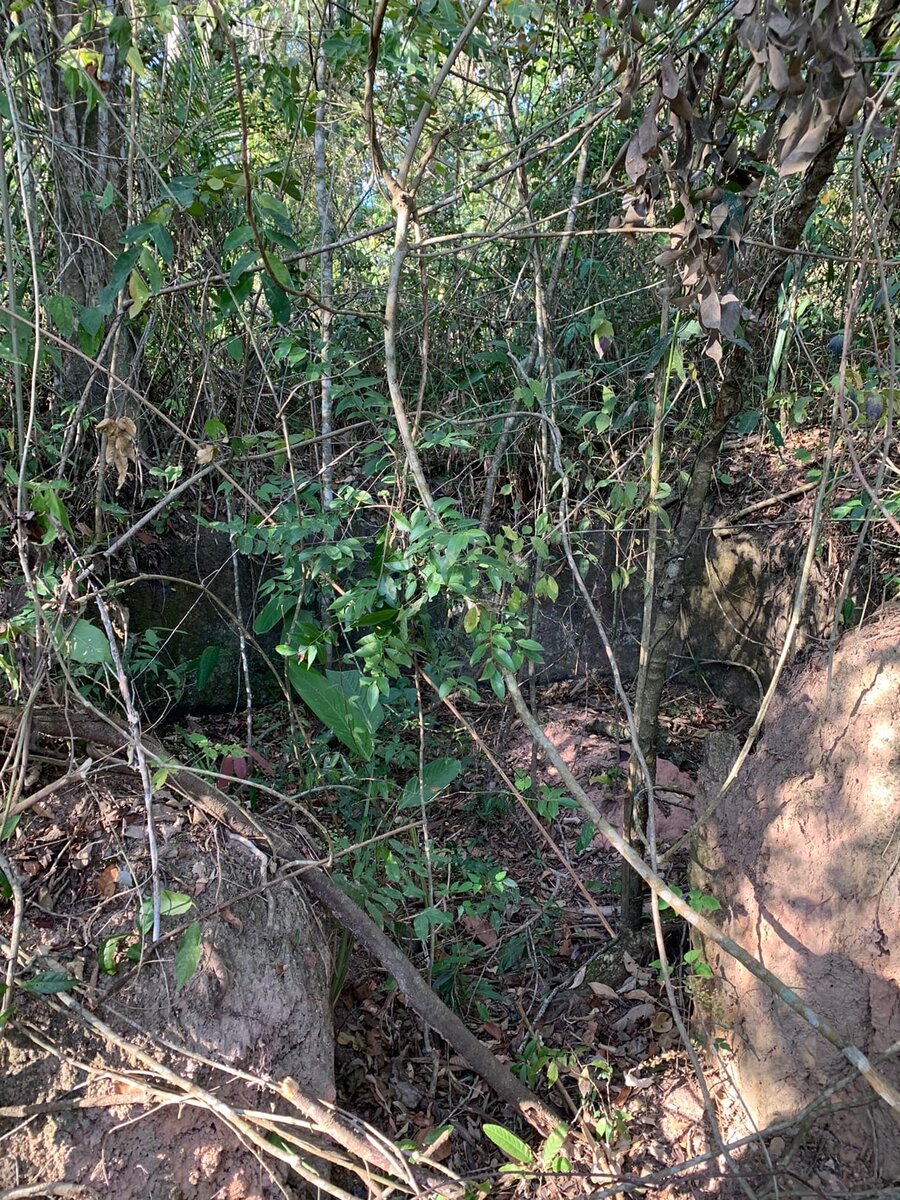 Записки из джунглей Бразилии - хоббичья нора посреди леса