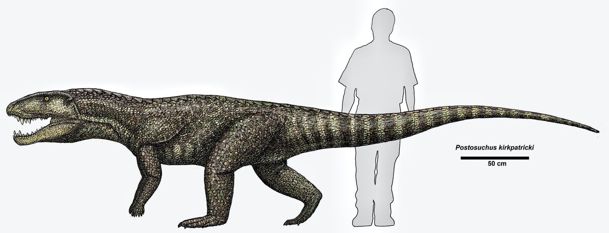 хищники позднего триасового периода уже увеличились в размерах (Wikimedia Commons) 