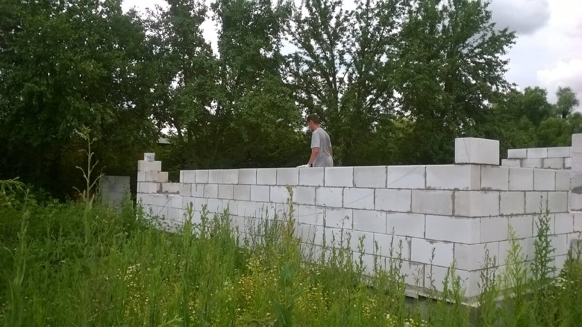 Начало стройки (непролазный бурьян вокруг дома) 