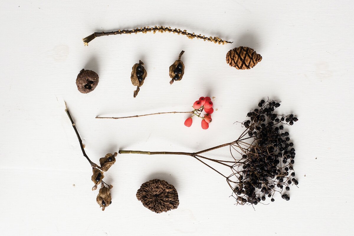 Эфирные масла тысячилетиями используются в холистической медицине