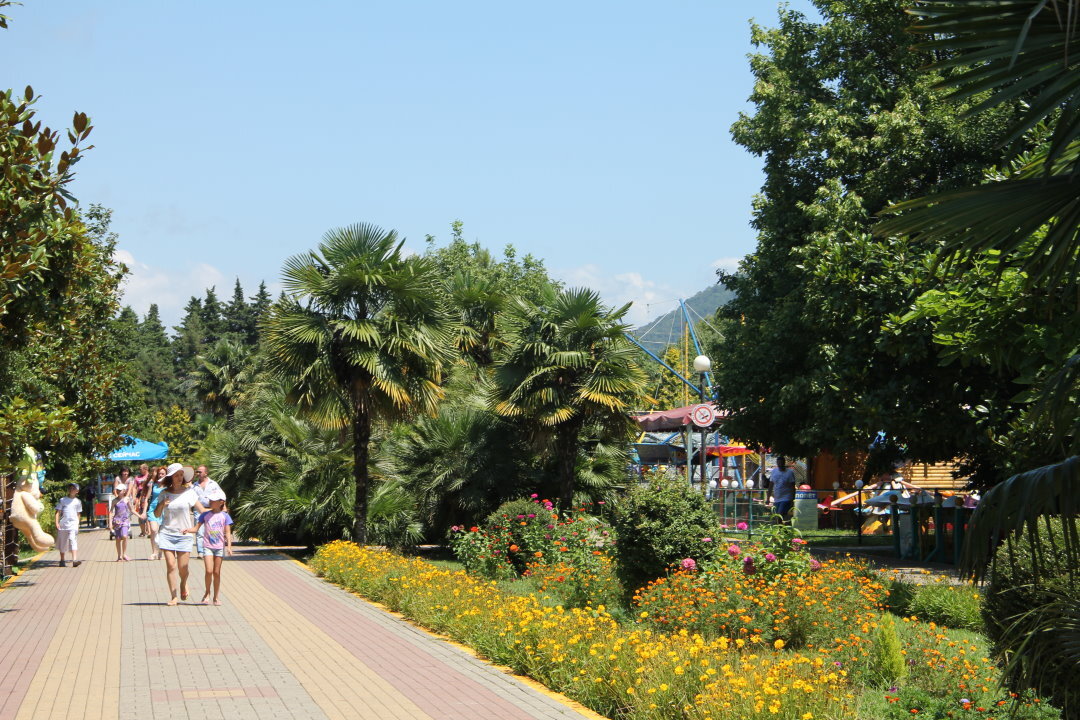 П лазаревское картинки