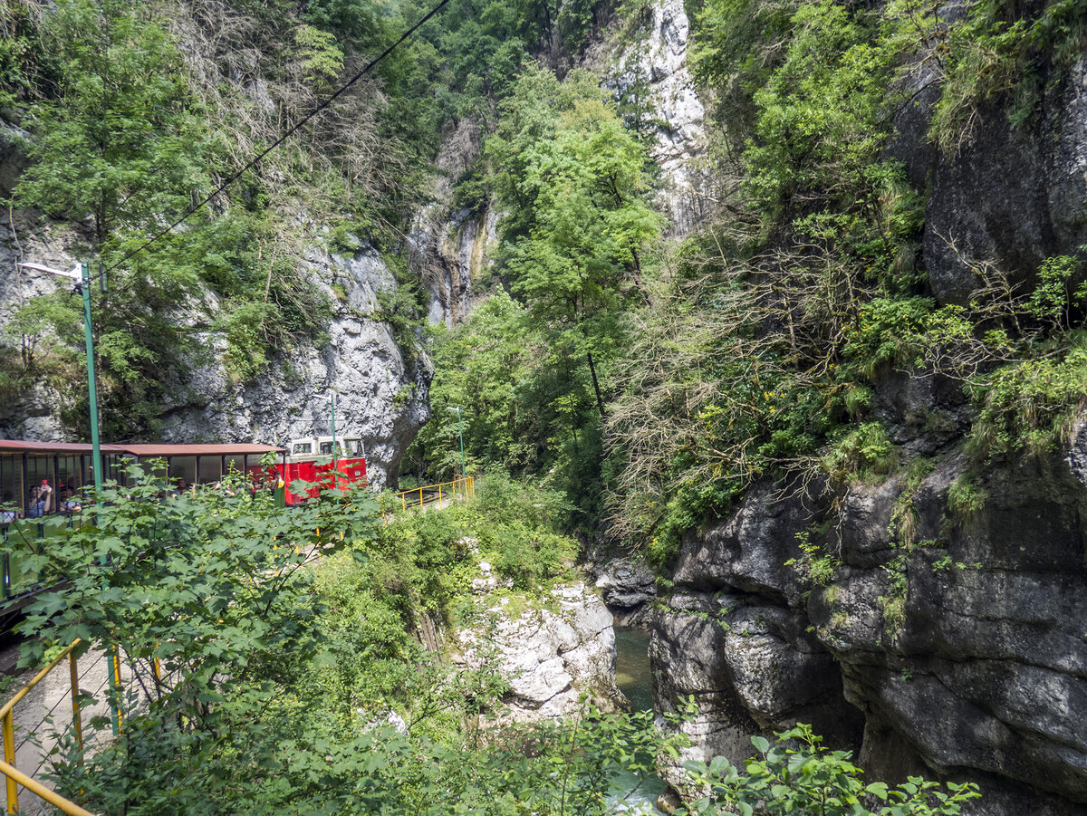 Экскурсионный паровозик идет сквозь Гуамское ущелье.