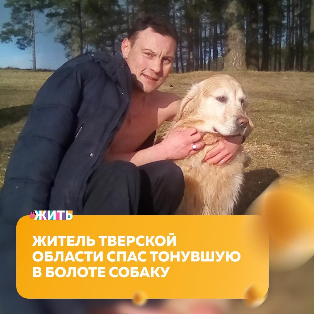 Тони собака. Тони Открой собаку. Собака Тони. Тоня собака. Lucky bog Собачье наслаждаться.