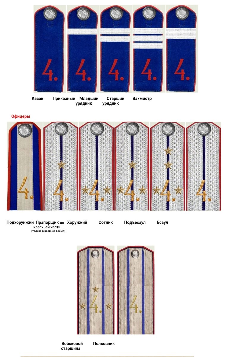 Погоны есаула в казачьих войсках фото