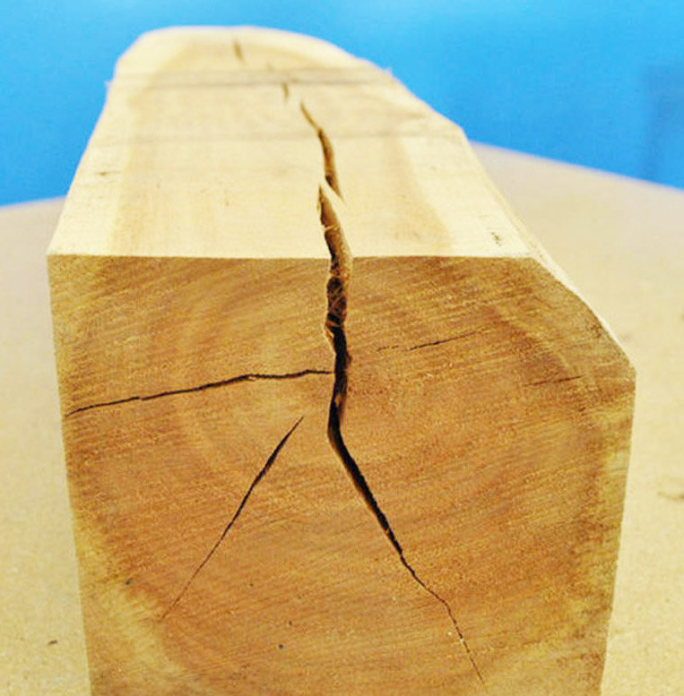 Трещина купить. Морозная трещина древесины. Пороки древесины трещины. Трещины в пиломатериале. Потрескавшаяся древесина.