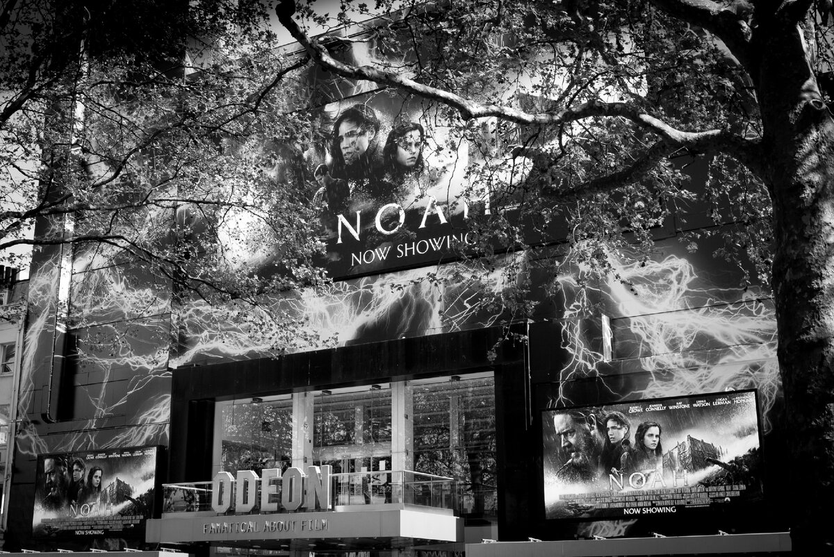 Фото из интернета. Источник (бесплатный фотосток): flickr