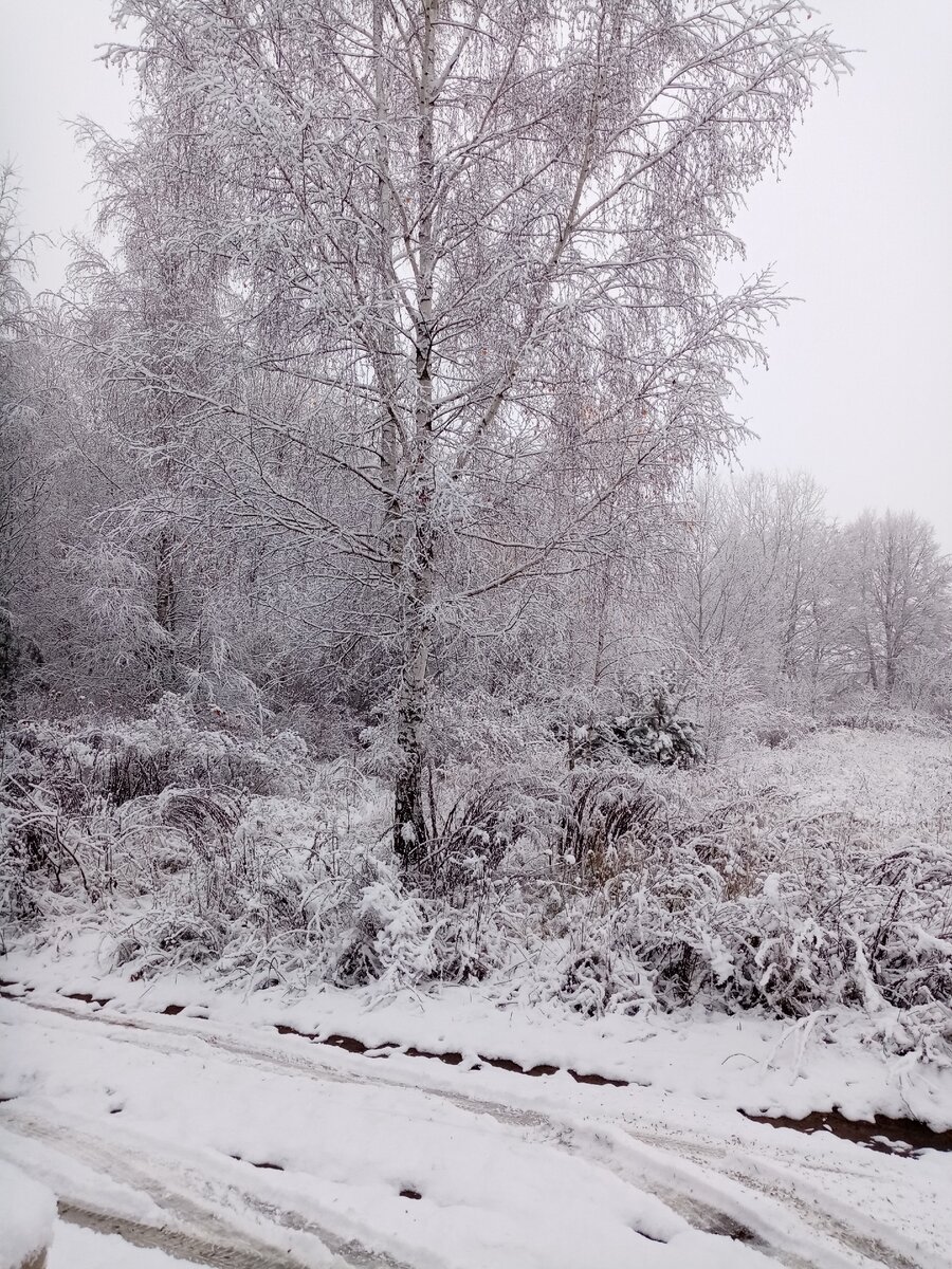 Особенно приятно ходить в баню зимой