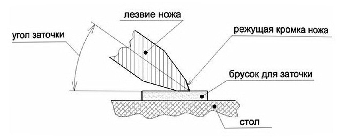 Как заточить кухонный нож – 7 шагов для новичков