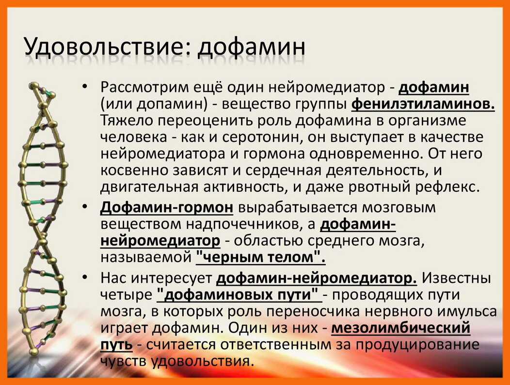 Дофамин это. Гормон допамин или дофамин. Дофамин роль в организме. Дофамин в организме человека его роль. Допамин гормон удовольствия.