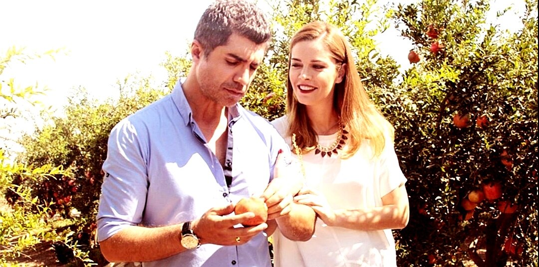 Фото из открытых источников 