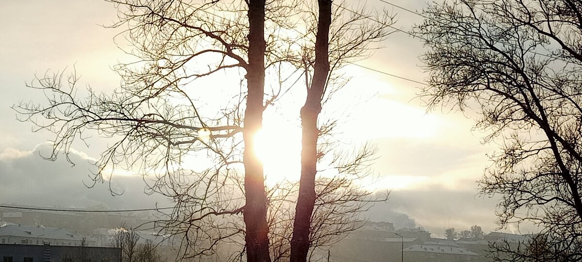 (Личное фото автора)