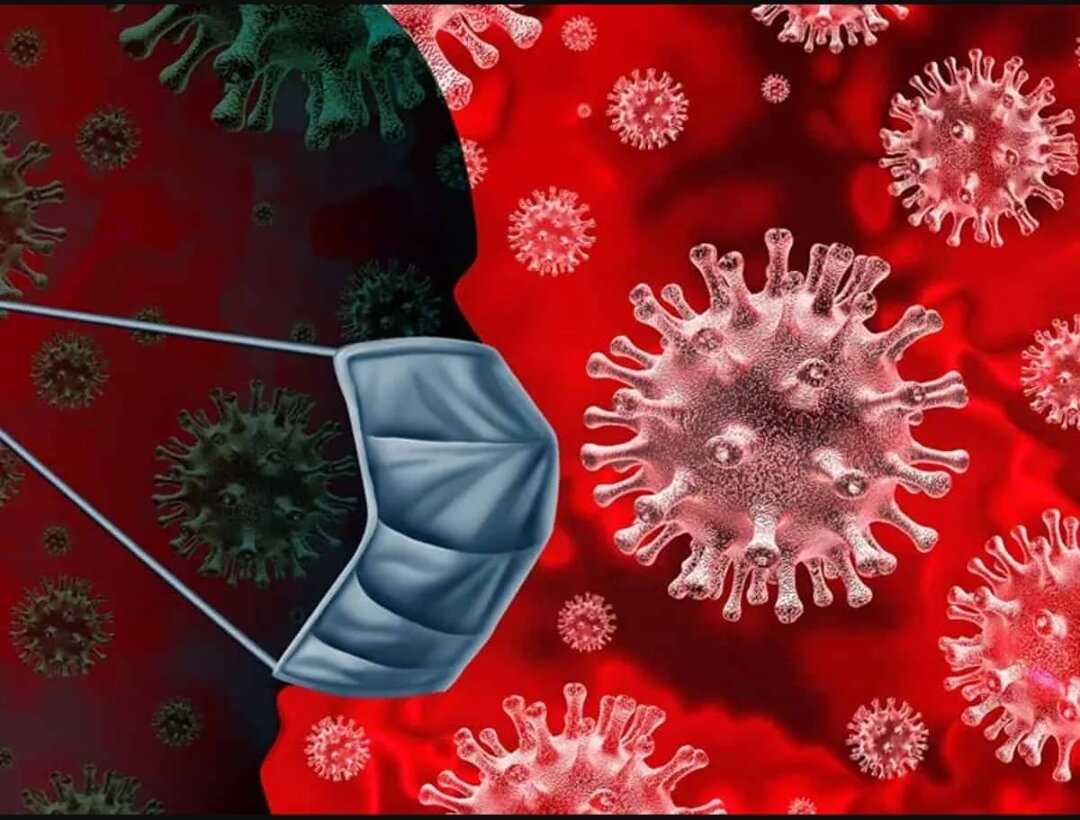 Фото из свободного доступа 