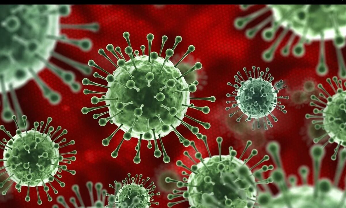 Источник:Яндекс