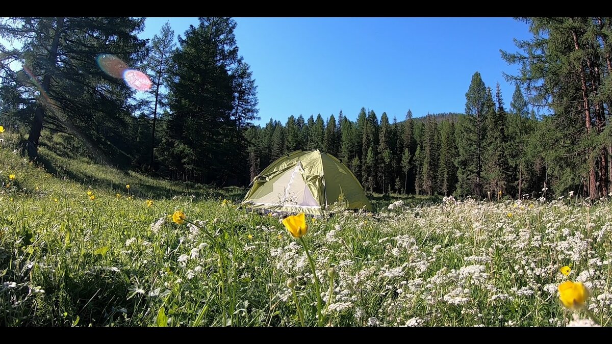 8 утра, день вступил в свои права 