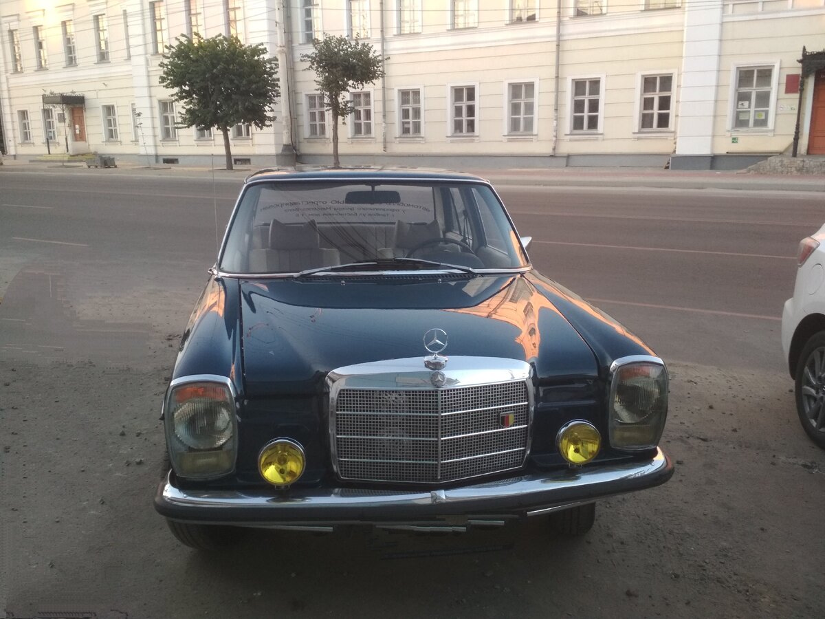 Что-то мы любим благодаря чему-то, например, красоте, а что-то – вопреки. Фото автора.