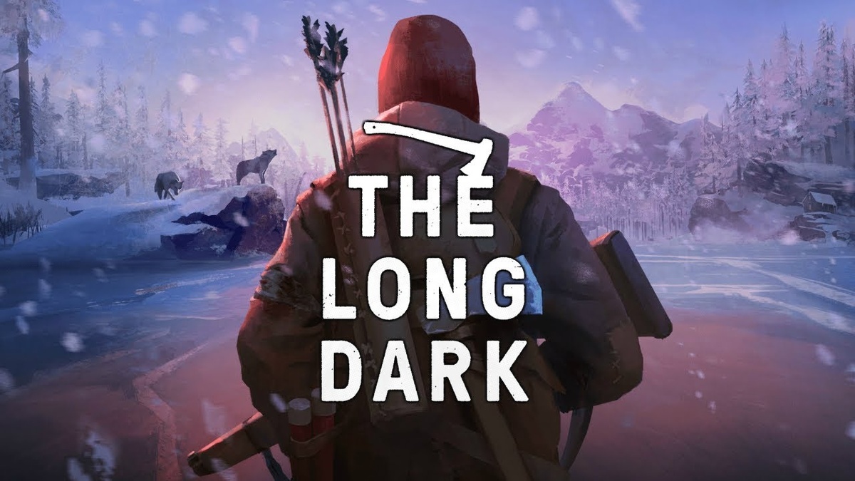 The long dark (2017)