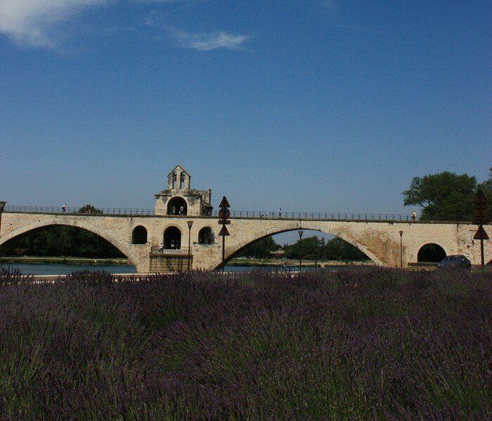 В Авиньоне лавандовые поля повсюду. Это не эксклюзив, а обычная трава. Как у нас осока. Фото автора.